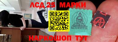 сатива Тверь