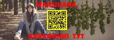 сатива Тверь