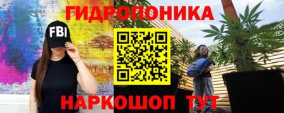 сатива Тверь