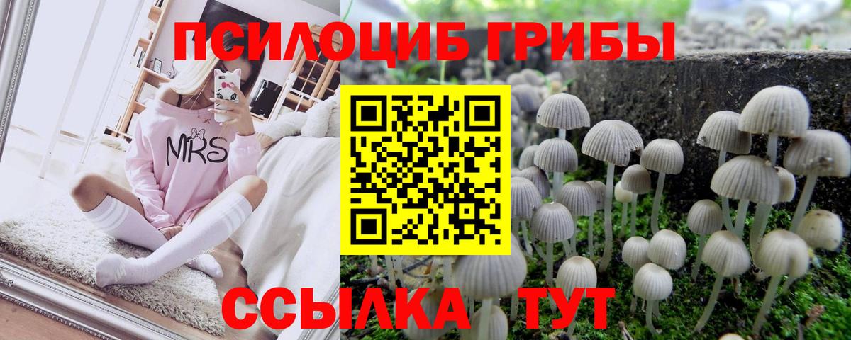 Галлюциногенные грибы GOLDEN TEACHER Алексеевка